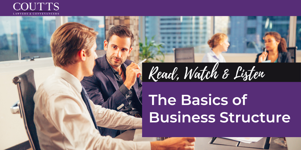 The Basics of Business Structure