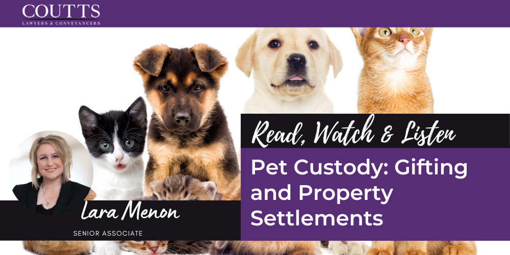 Pet Custody: Gifting and Property Settlements