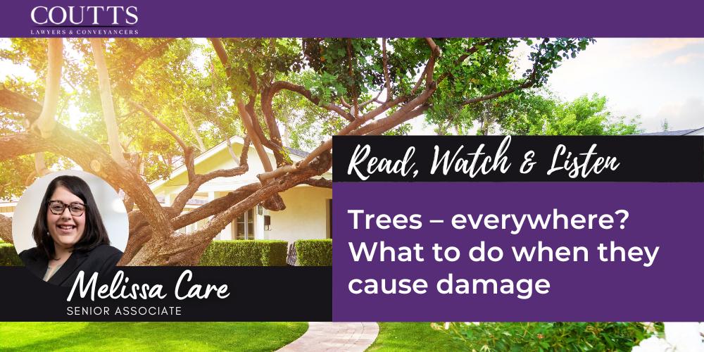 Trees – everywhere? What to do when they cause damage