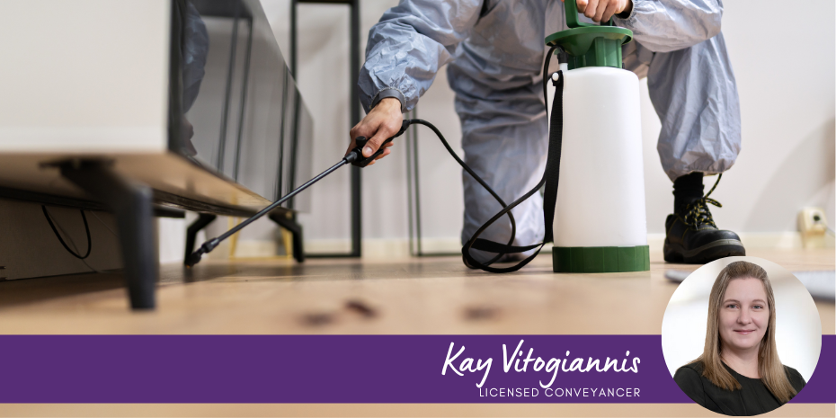 Why a Pest and Build Report is Essential when Purchasing in NSW