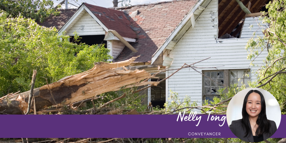 Do You Need Insurance After Exchange of Contracts in NSW?
